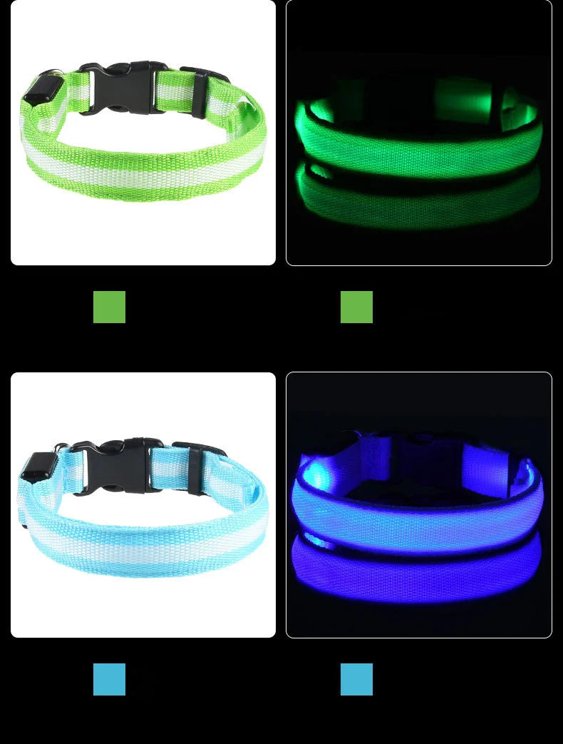 Luminous Dog Leash & Collar – Night Safety Light-Up Gear