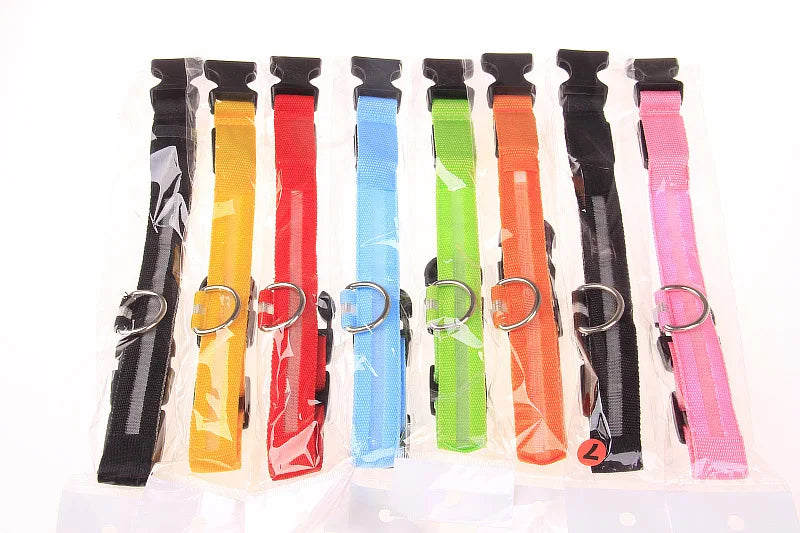 Luminous Dog Leash & Collar – Night Safety Light-Up Gear