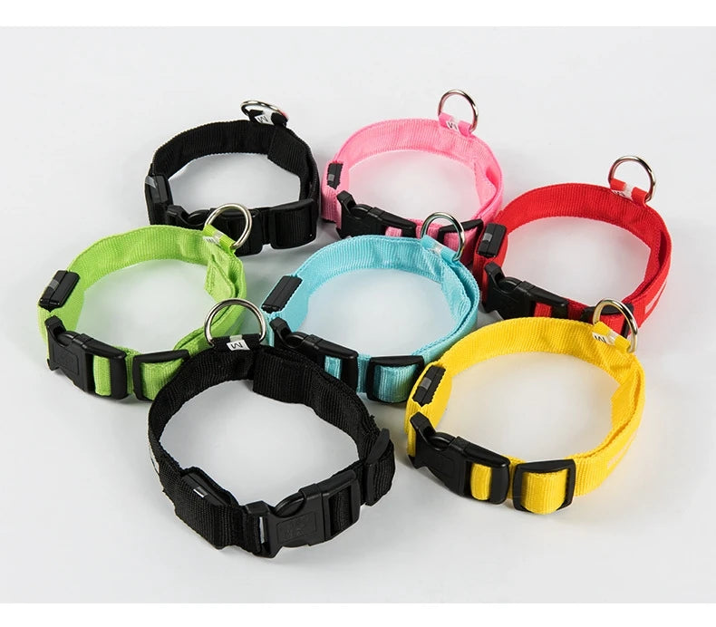Luminous Dog Leash & Collar – Night Safety Light-Up Gear