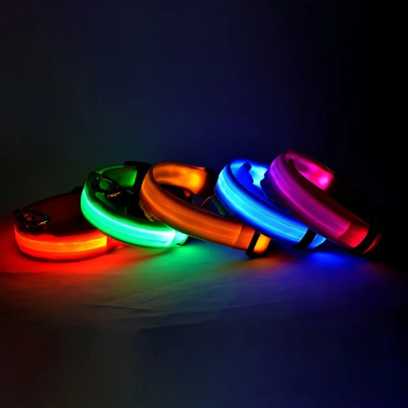 Luminous Dog Leash & Collar – Night Safety Light-Up Gear