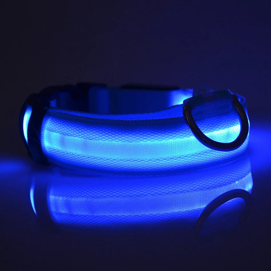 Luminous Dog Leash & Collar – Night Safety Light-Up Gear