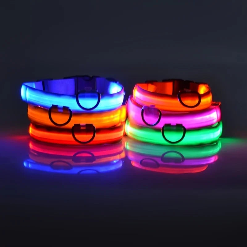Luminous Dog Leash & Collar – Night Safety Light-Up Gear