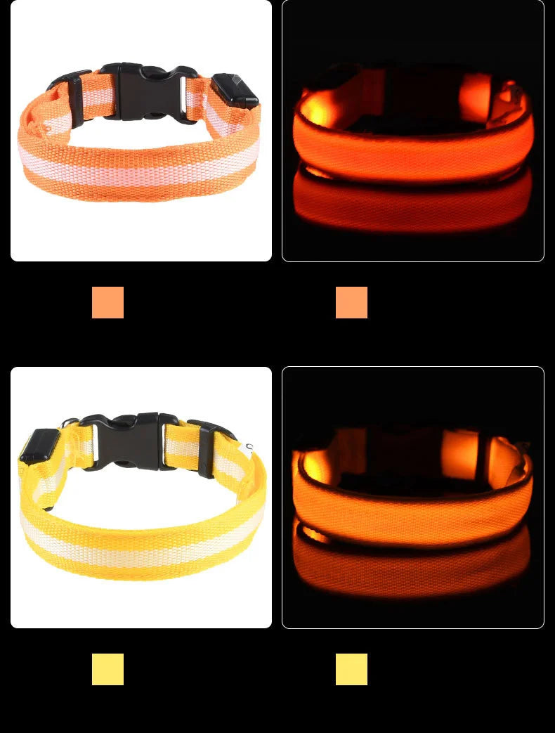 Luminous Dog Leash & Collar – Night Safety Light-Up Gear