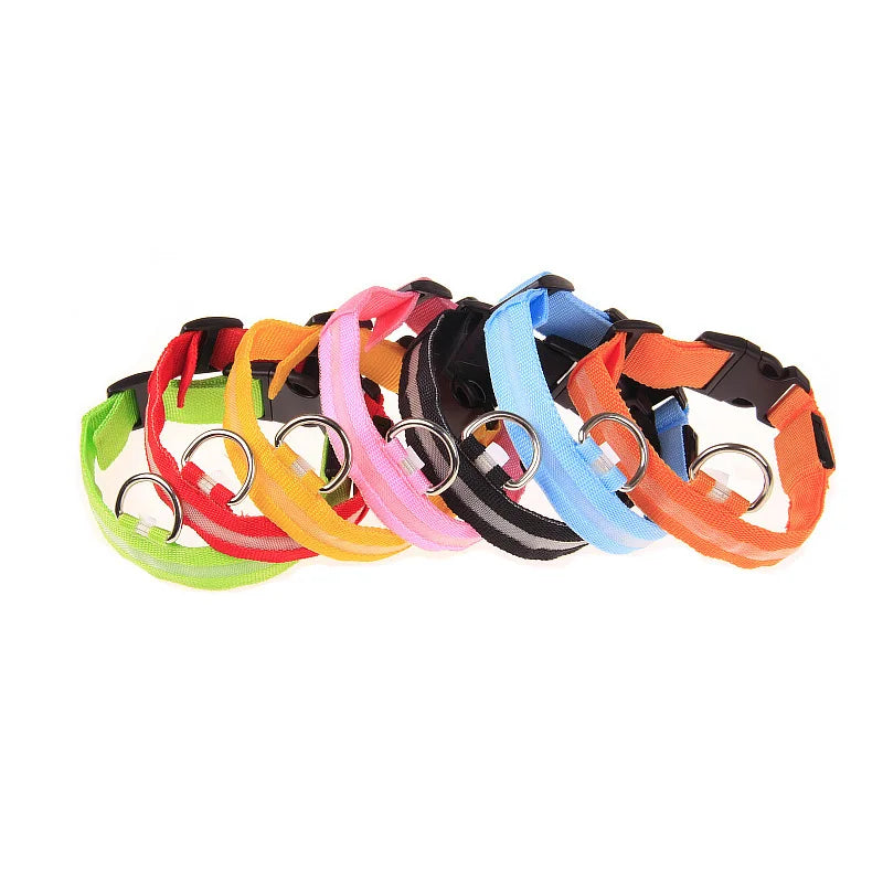 Luminous Dog Leash & Collar – Night Safety Light-Up Gear