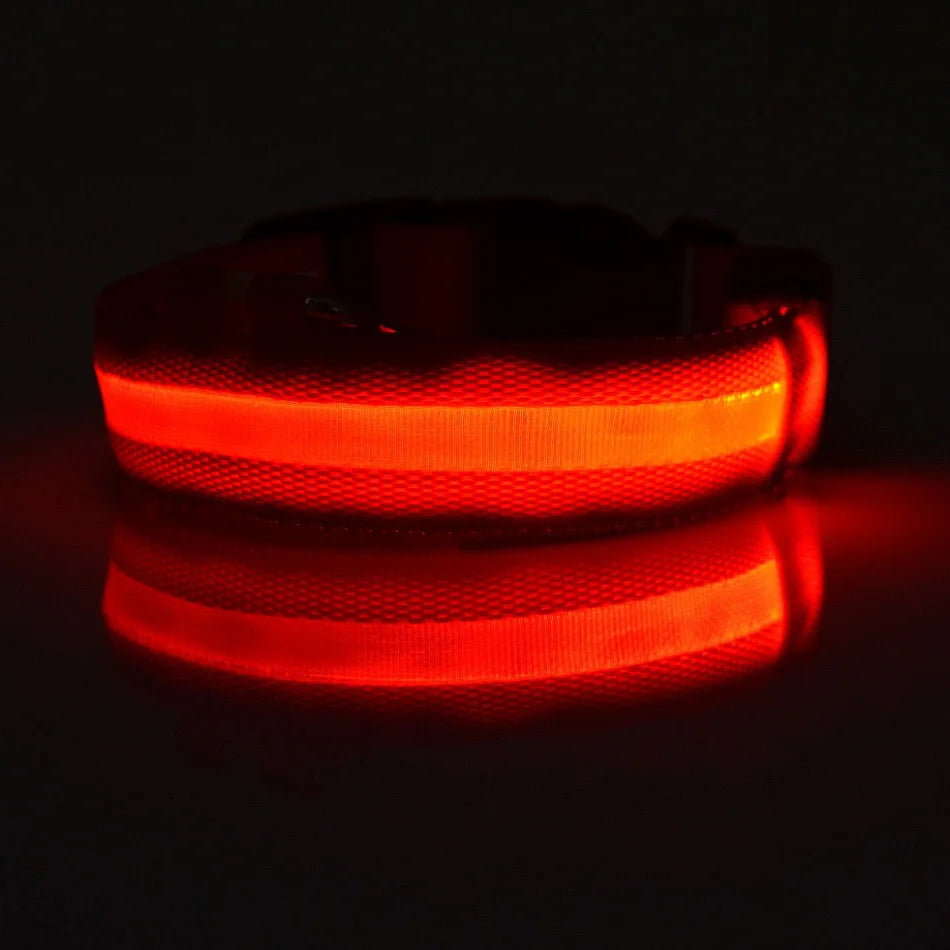 Luminous Dog Leash & Collar – Night Safety Light-Up Gear