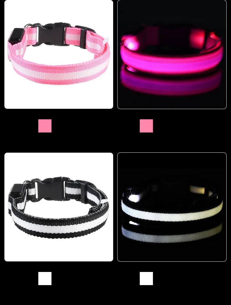 Luminous Dog Leash & Collar – Night Safety Light-Up Gear