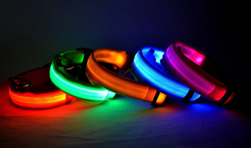 Luminous Dog Leash & Collar – Night Safety Light-Up Gear