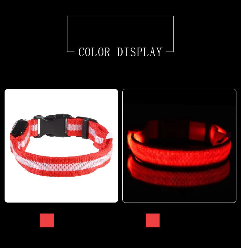 Luminous Dog Leash & Collar – Night Safety Light-Up Gear
